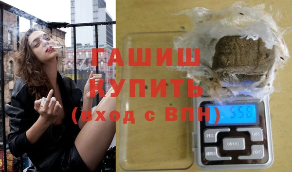 индика Балахна