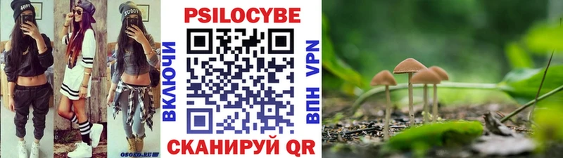 гидра ТОР  Коркино  Галлюциногенные грибы Psilocybine cubensis  где найти наркотики 