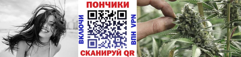 где купить наркоту  Коркино  KRAKEN маркетплейс  Каннабис план 